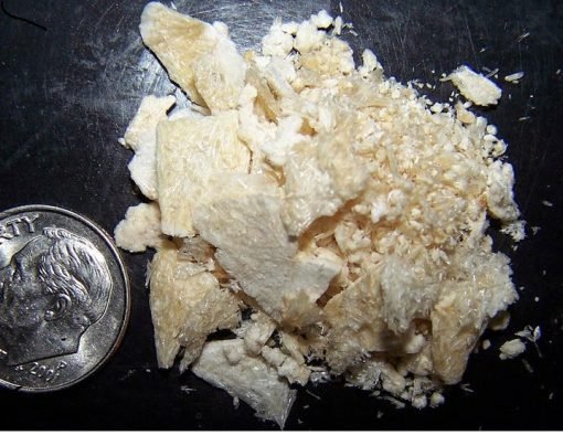 Buy Mescaline Cacti Online Buy Mescaline Cacti Online